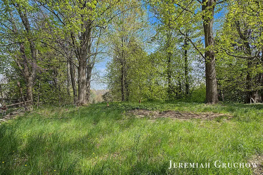 8725 Conservation Street Ne, Ada, MI 49301 - #2