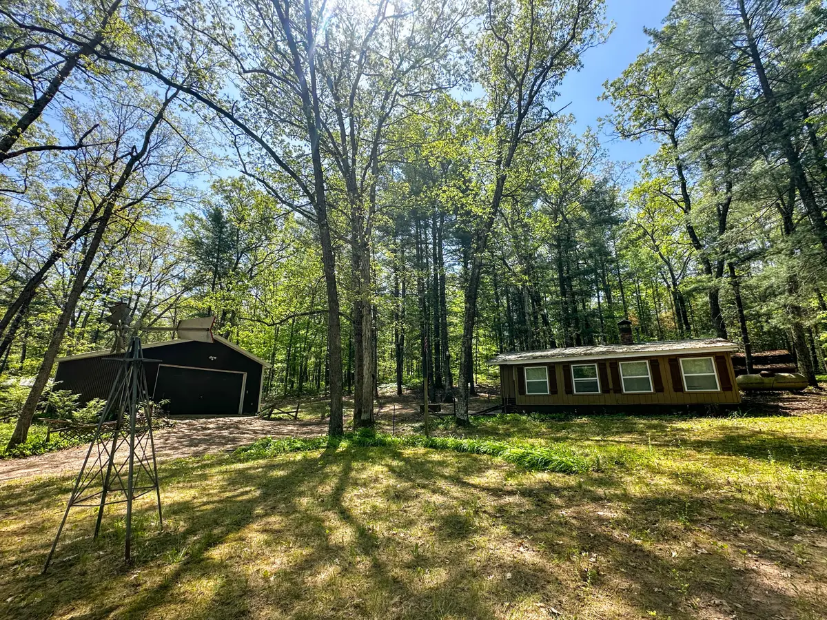 8923 W Toma Trail, Irons, MI 49644 - #1