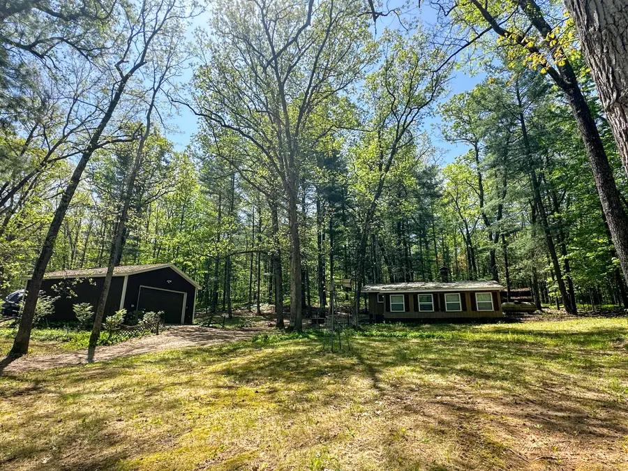 8923 W Toma Trail, Irons, MI 49644 - #2