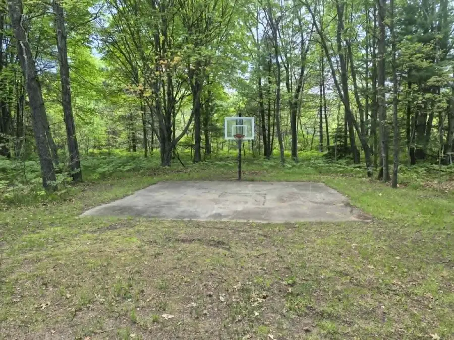 20200 W Lake Montcalm Road, Howard City, MI 49329 - #3