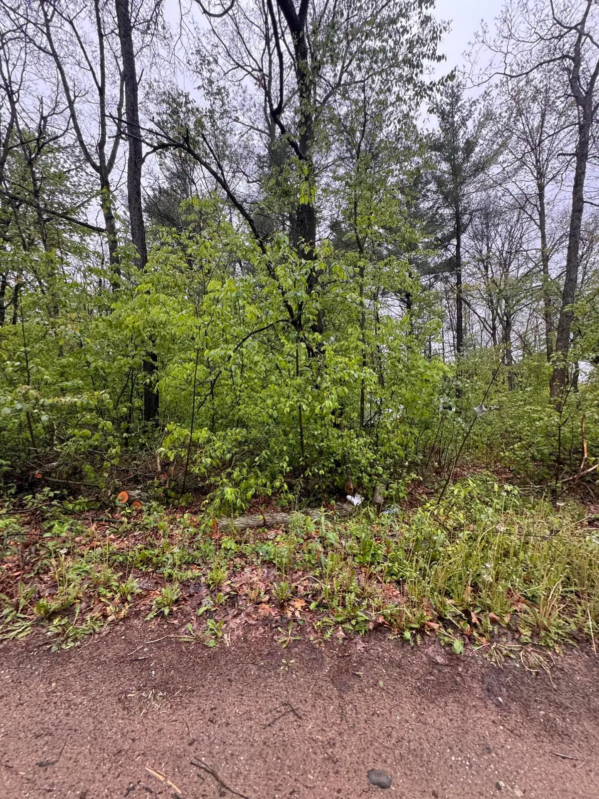 V/L Paw Paw Trail, Howard City, MI 49329 - #1