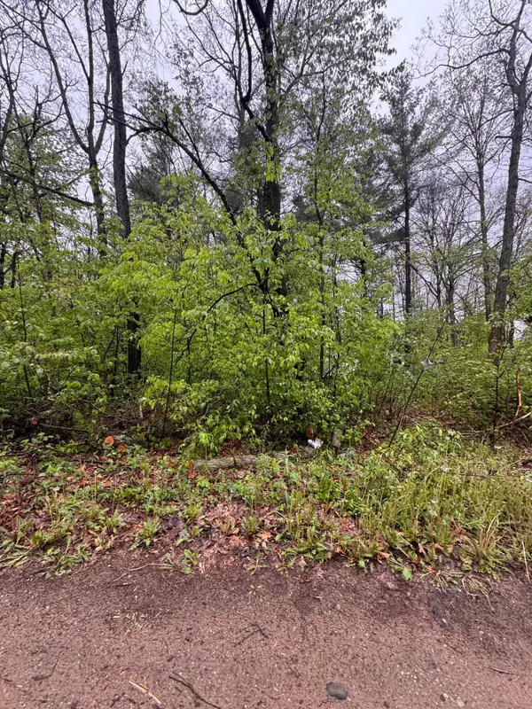 V/L Paw Paw Trail, Howard City, MI 49329