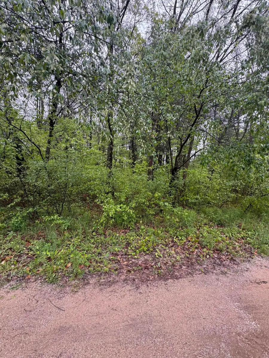 V/L Paw Paw Trail, Howard City, MI 49329 - #2