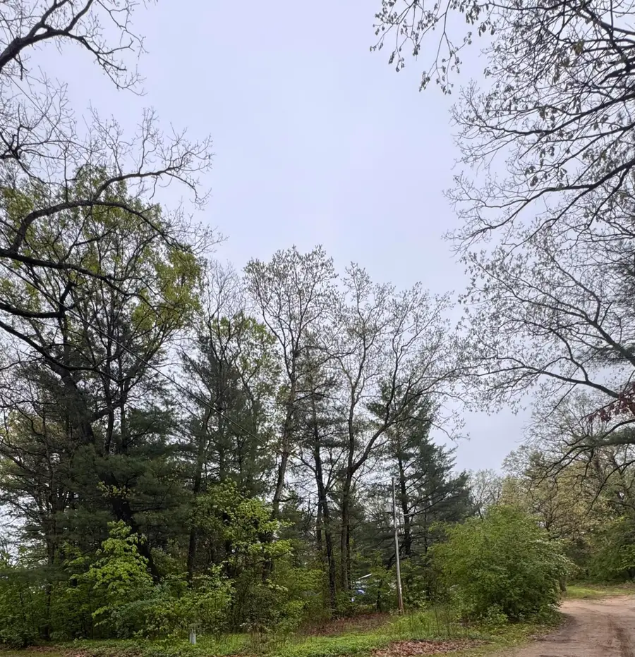 V/L Paw Paw Trail, Howard City, MI 49329 - #3