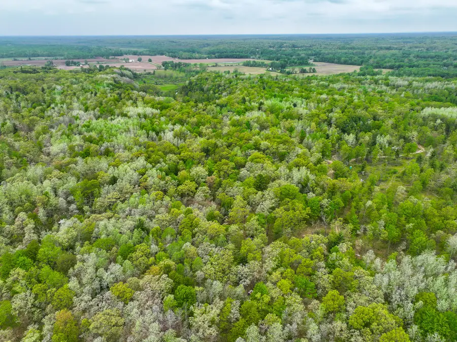 V/L 12.19 Rapp Drive, Grant, MI 49327 - #2