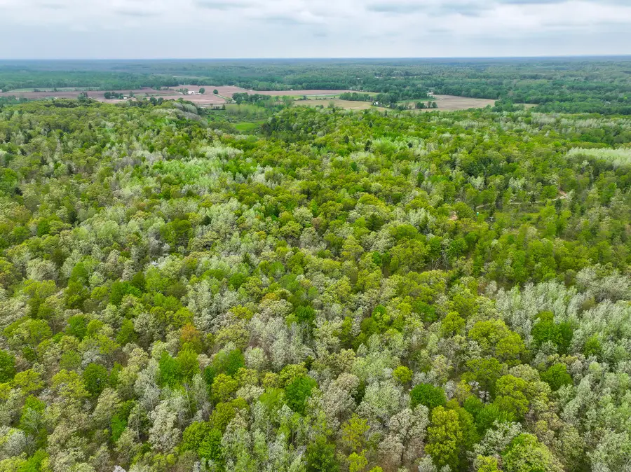V/L 12.19 Rapp Drive, Grant, MI 49327 - #3