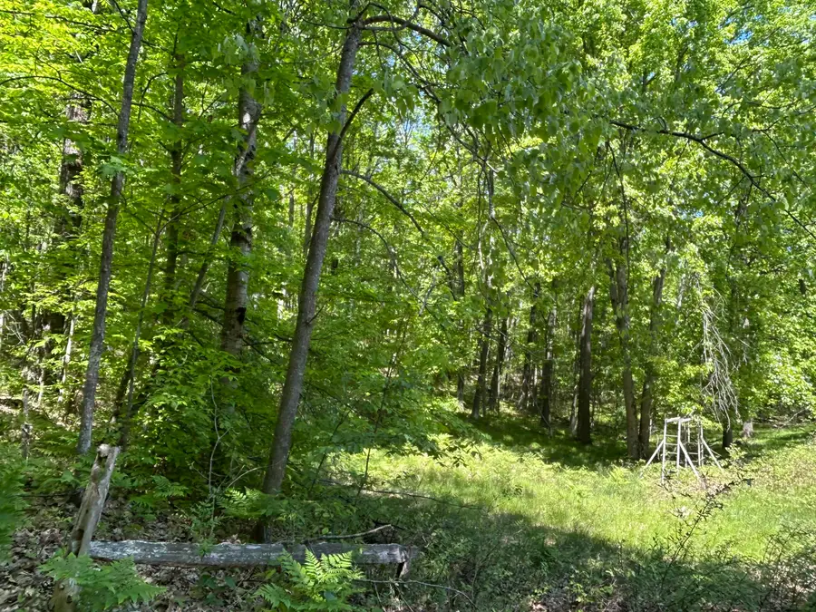 9800 Avenue C #--Vacant  Land--, Mecosta, MI 49332 - #2