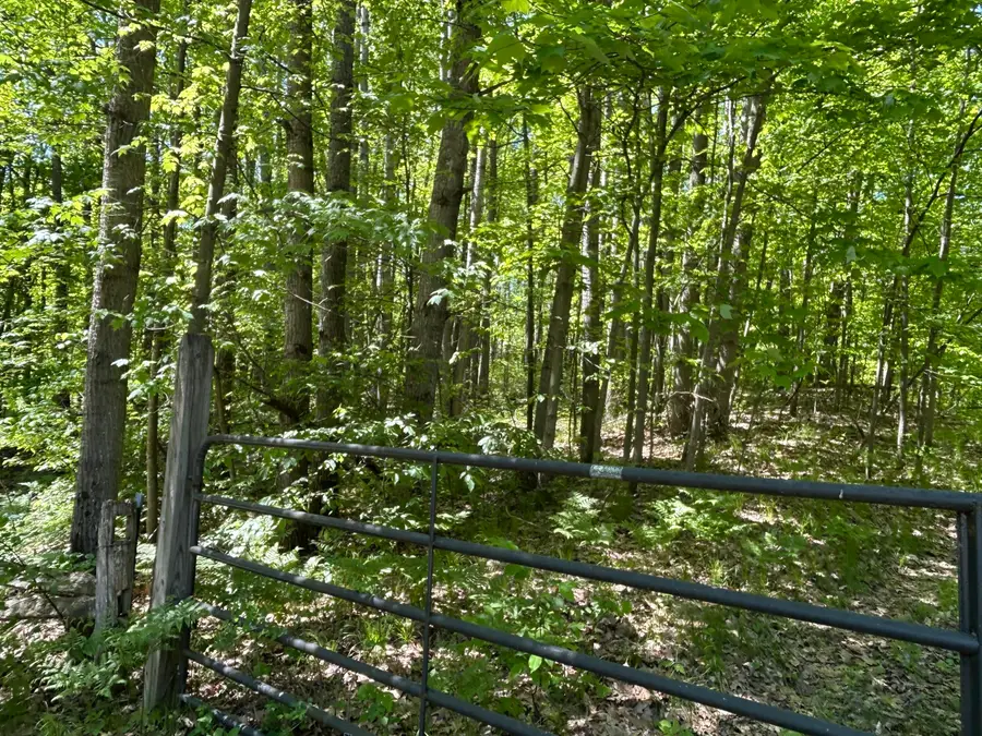 9800 Avenue C #--Vacant  Land--, Mecosta, MI 49332 - #3