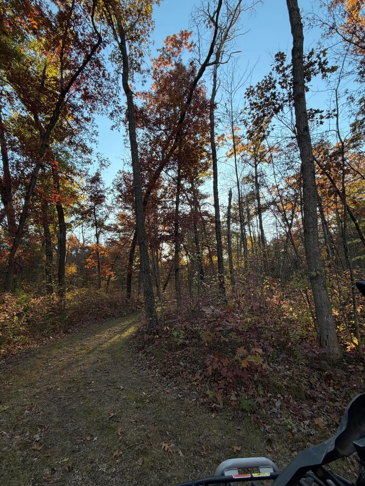 V/L N Tamarack Road, Howard City, MI 49329 - #1