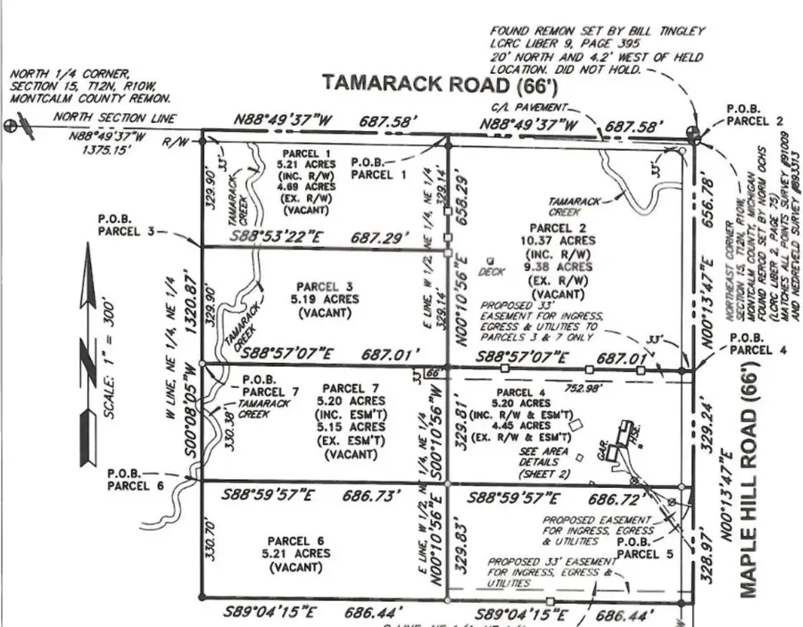 V/L N Tamarack Road, Howard City, MI 49329 - #3