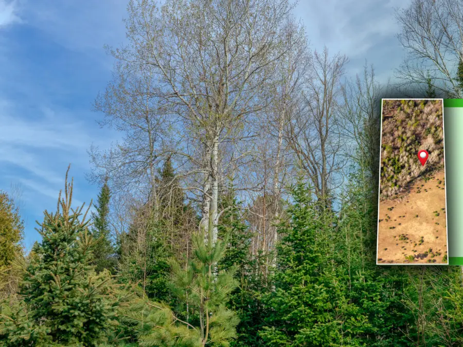 Lot 7 Horoscope Road, Pelkie, MI 49958 - #3