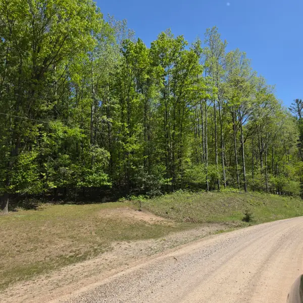 4796 90th Avenue, Evart, MI 49631