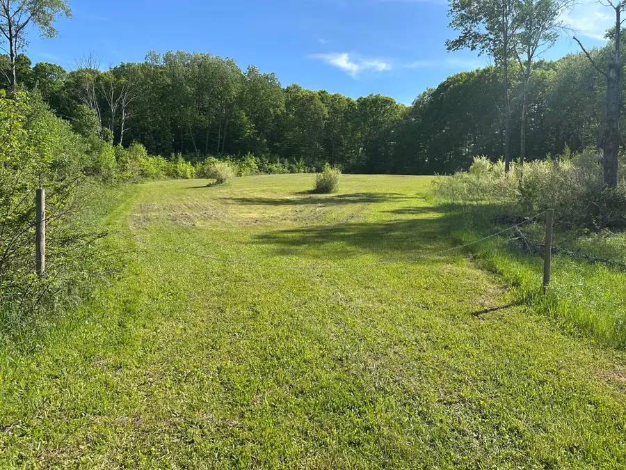 5057 E 3 1/2 Mile Road, Luther, MI 49656 - #2