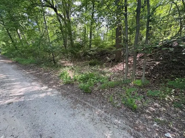19343 Ravine Drive, New Buffalo, MI 49117 - #1
