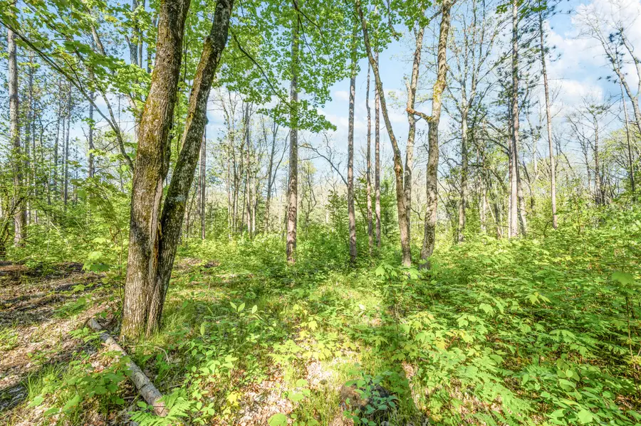V/L Nelson St, Baldwin, MI 49304 - #2