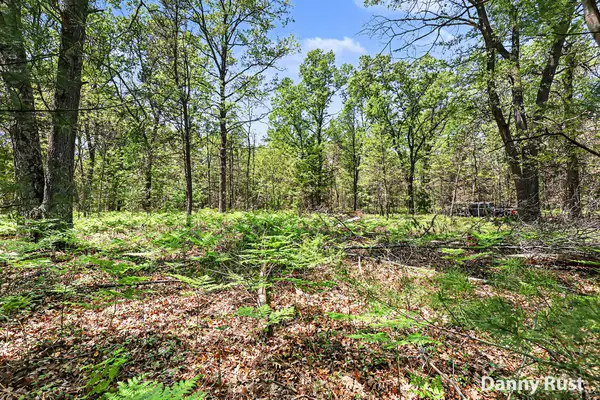 Vacant Land, Twin Lake, MI 49457