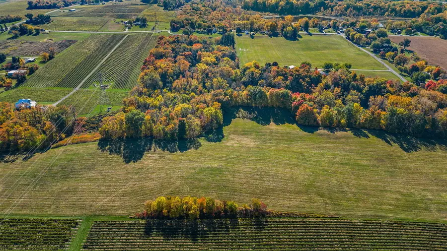 Gray Road #Parcel C, Baroda, MI 49101 - #2