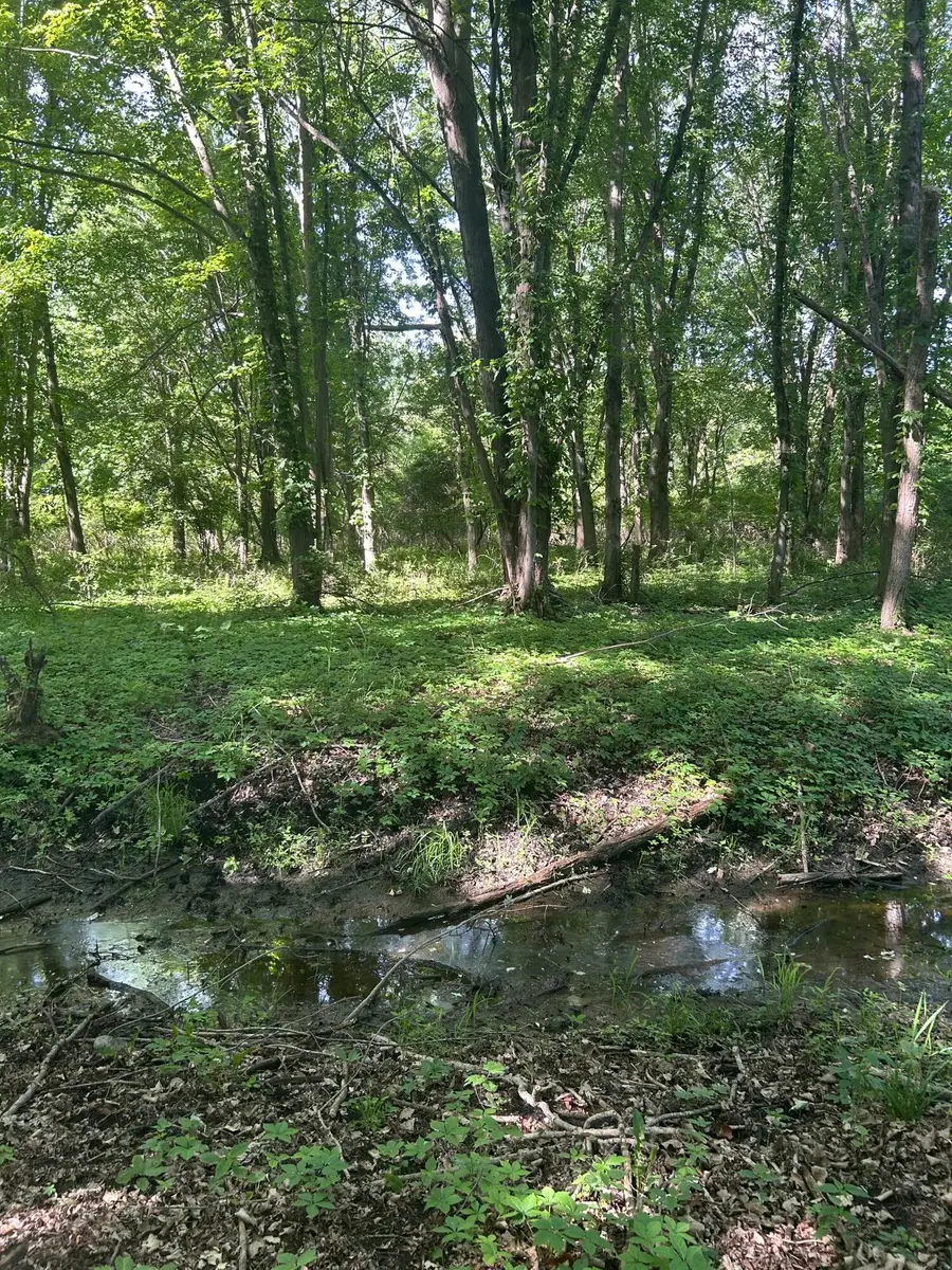 25500 U Drive S, Homer, MI 49245 - #2