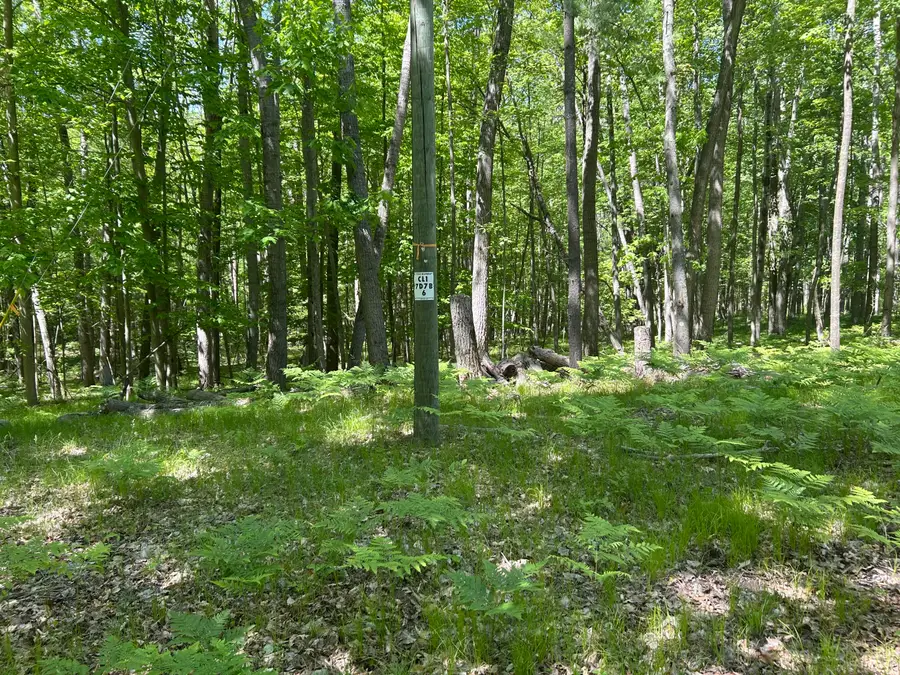8297 Highland Trail #349, Canadian Lakes, MI 49346 - #2