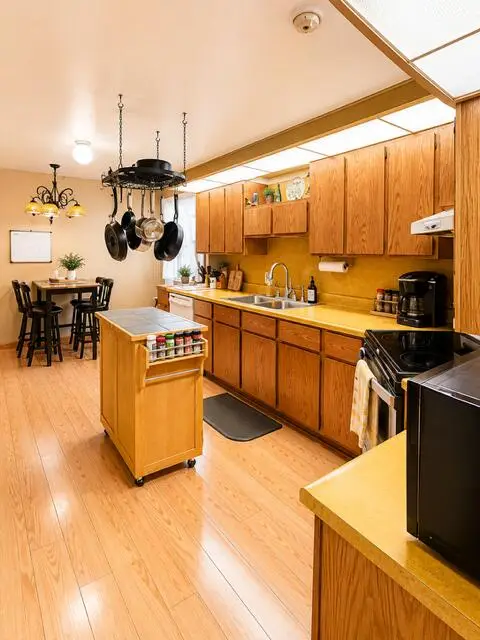 1031 N Newaygo Road, Bailey, MI 49303 - #3