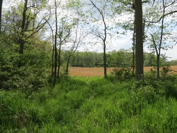 S Stony Lake Road #A, Jackson, MI 49201
