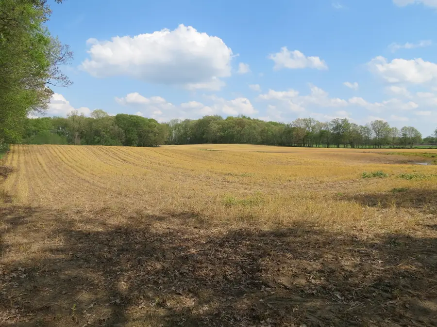 Giles Road #C, Brooklyn, MI 49230 - #2