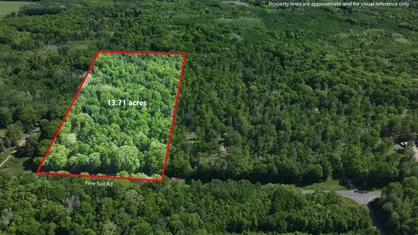 Parcel 'C' E Free Soil Road, Free Soil, MI 49411