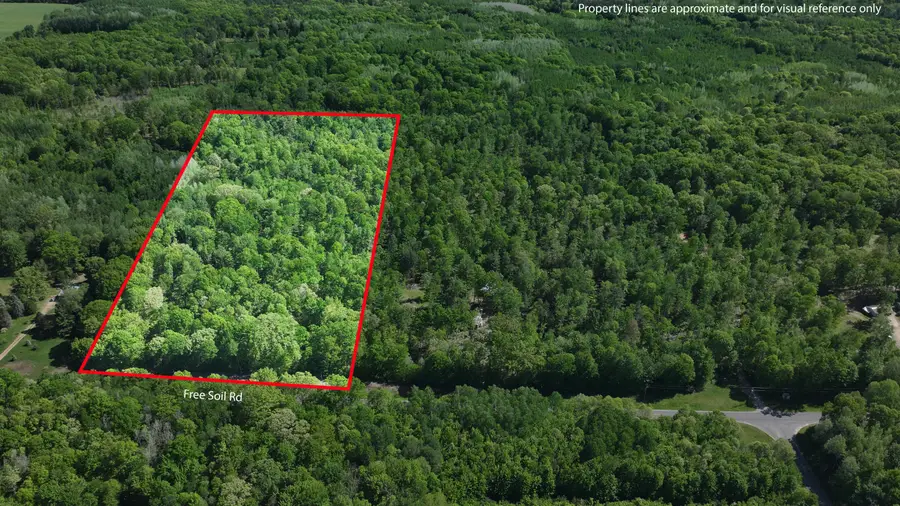 Parcel 'C' E Free Soil Road, Free Soil, MI 49411 - #2