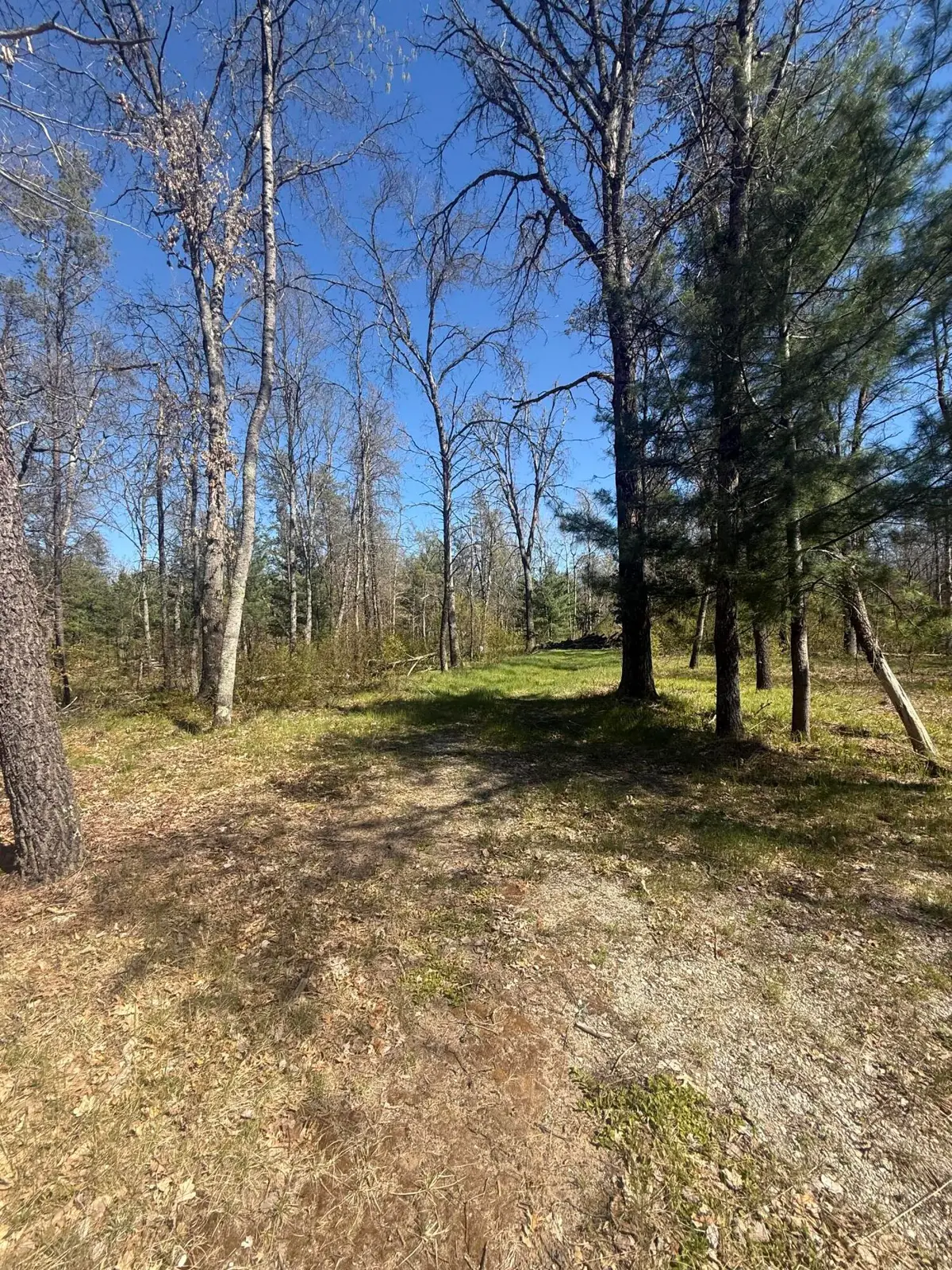 4097 S Michway Road, Baldwin, MI 49304 - #1