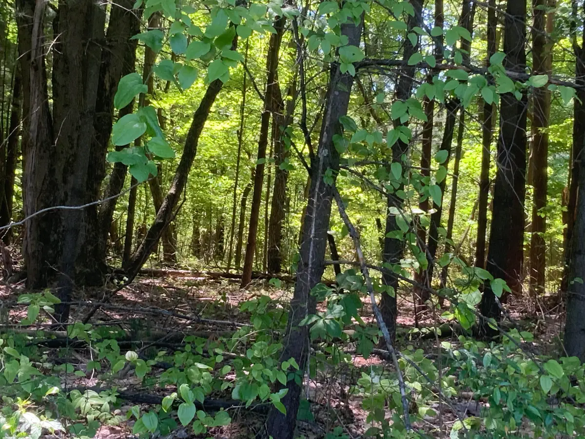 V/L Brenan Road, Grand Junction, MI 49056 - #1