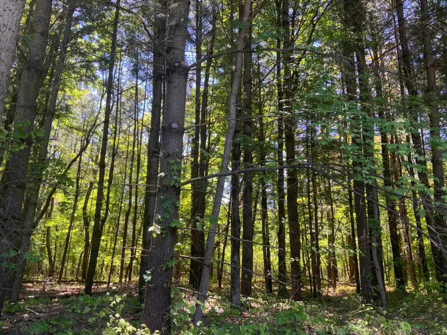 V/L Brenan Road, Grand Junction, MI 49056 - #3
