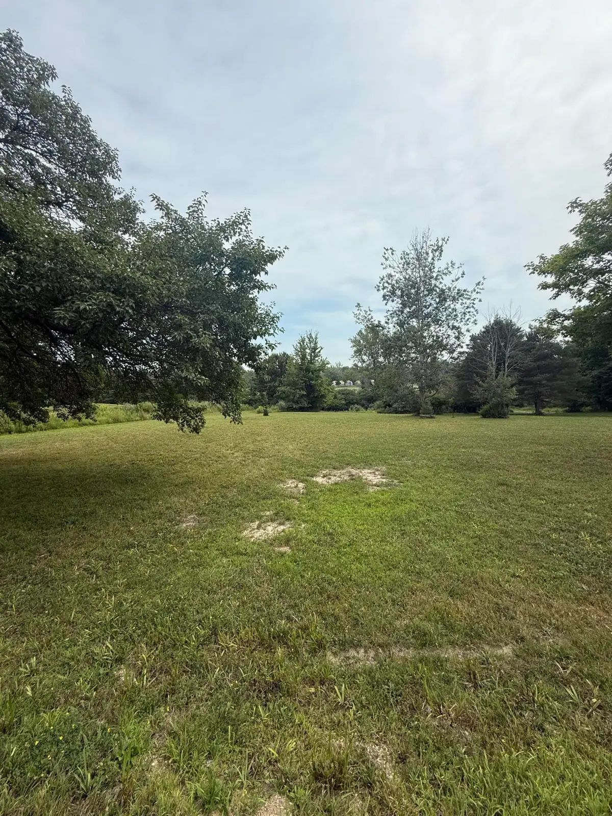 7218 Wells Street, South Haven, MI 49090 - #1