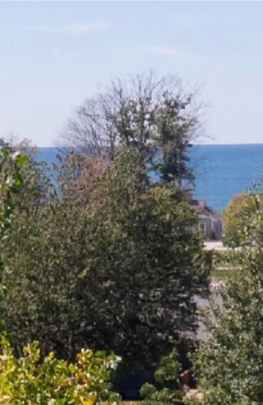7368 Beachview Drive, South Haven, MI 49090 - #2
