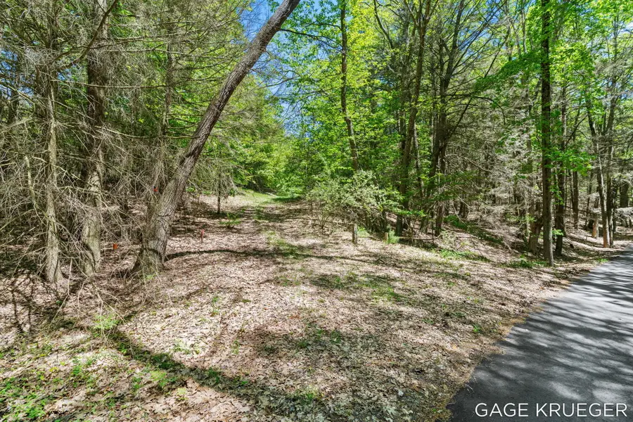 V/L W Thomas Road, Shelby, MI 49455 - #2