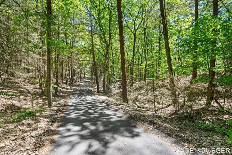 V/L W Thomas Road, Shelby, MI 49455 - #3
