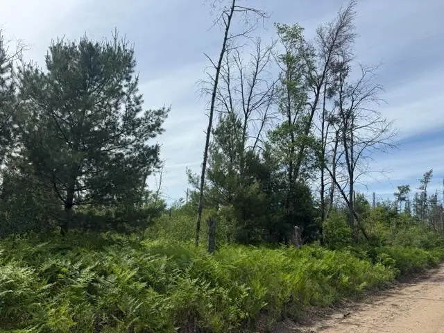 Parcel 2 Nelson Road, Idlewild, MI 49642 - #1