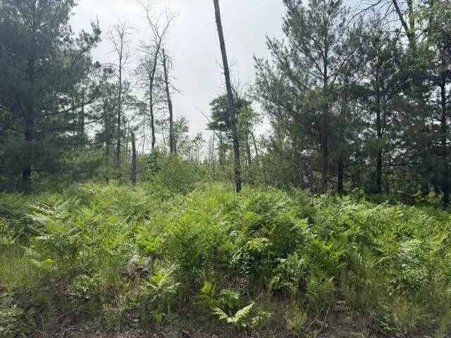 Parcel 2 Nelson Road, Idlewild, MI 49642 - #2