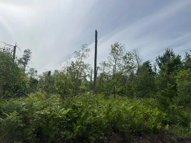Parcel 2 Nelson Road, Idlewild, MI 49642 - #3