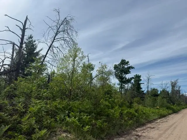 Parcel 3 Nelson Road, Idlewild, MI 49642 - #1