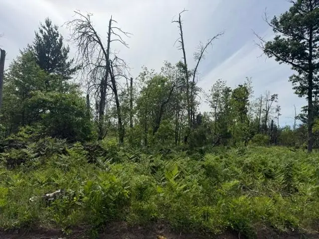 Parcel 3 Nelson Road, Idlewild, MI 49642 - #2