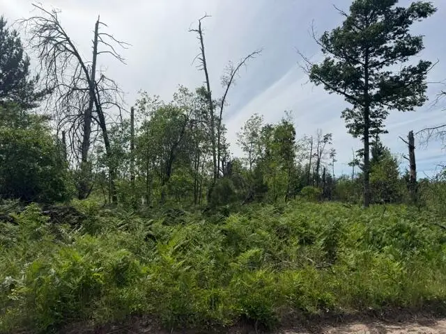 Parcel 3 Nelson Road, Idlewild, MI 49642 - #3