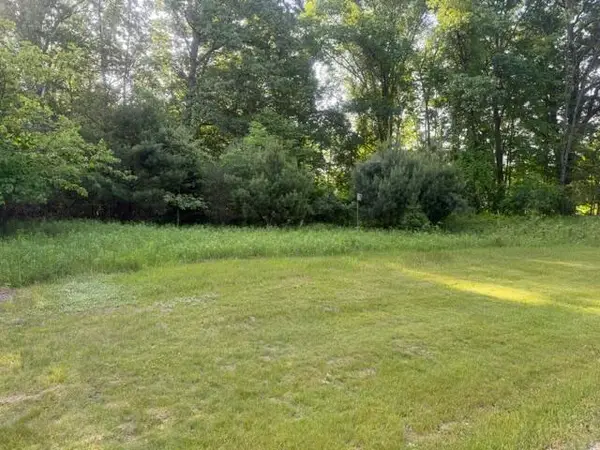 Muskegon Boulevard, Newaygo, MI 49337