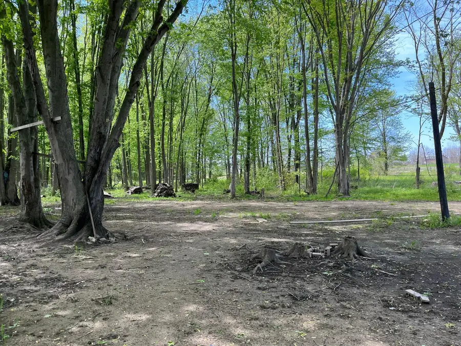 V/L 146th Avenue Sw, Byron Center, MI 49315 - #3