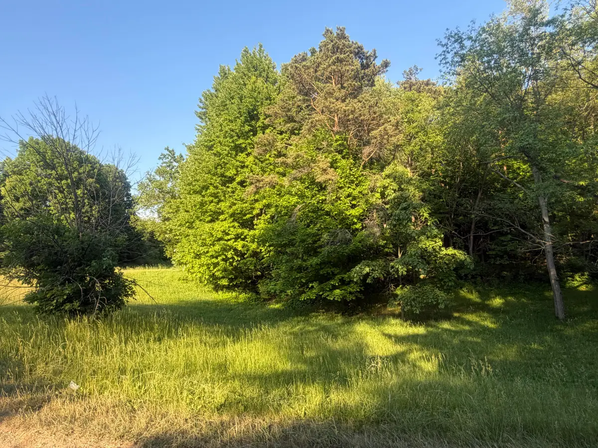 Pifer Road, Delton, MI 49046 - #1