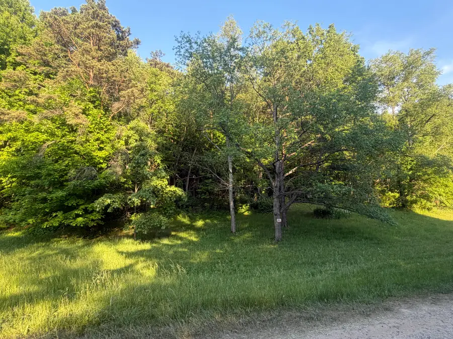 Pifer Road, Delton, MI 49046 - #2