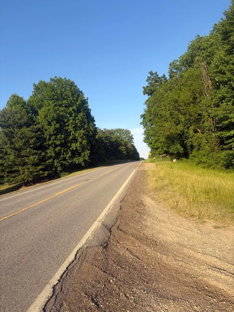 Pifer Road, Delton, MI 49046 - #3