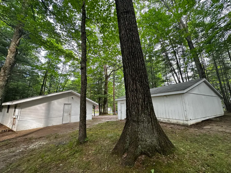 5112 N Red Maple Street, Irons, MI 49644 - #2
