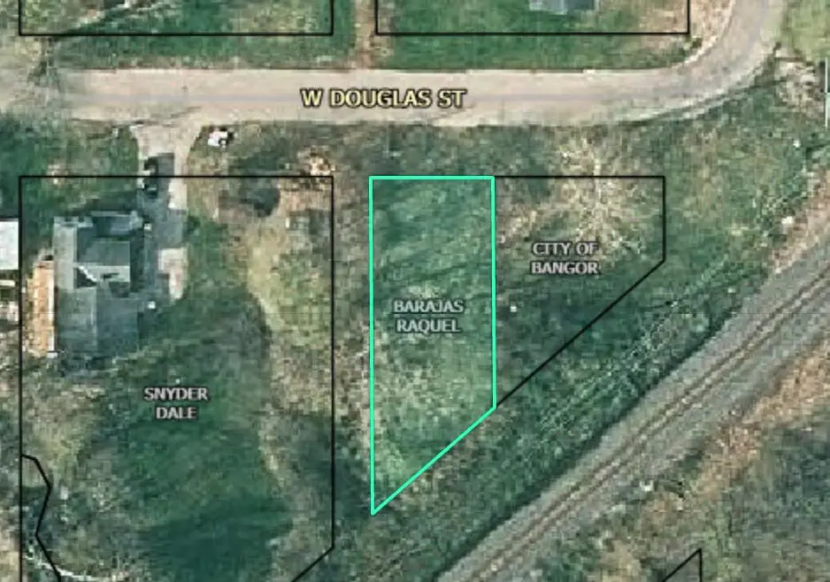 503 W Douglas Street, Bangor, MI 49013 - #1