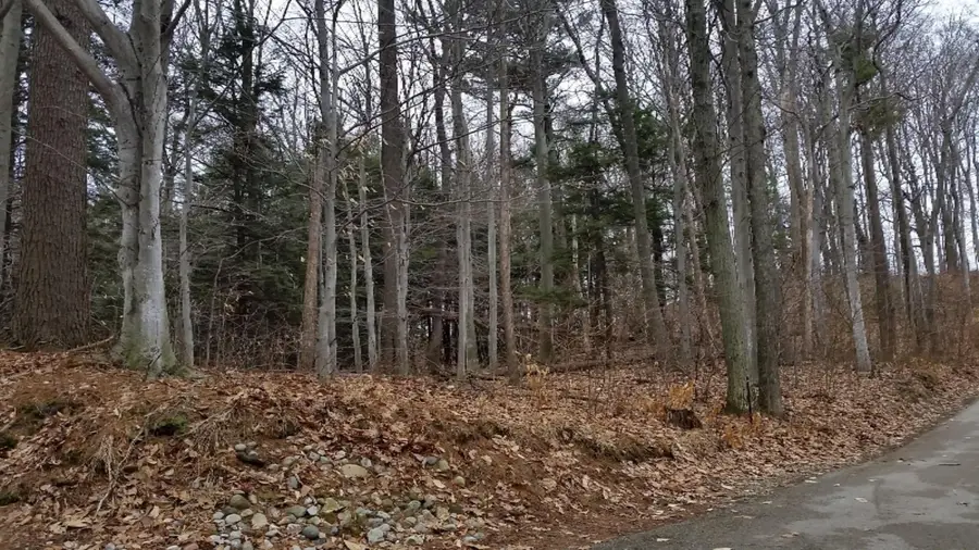 S Sable Pointe Drive, Shelby, MI 49455 - #3
