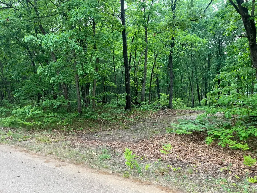 V/L E Sandra Kay Road, Fountain, MI 49410 - #2